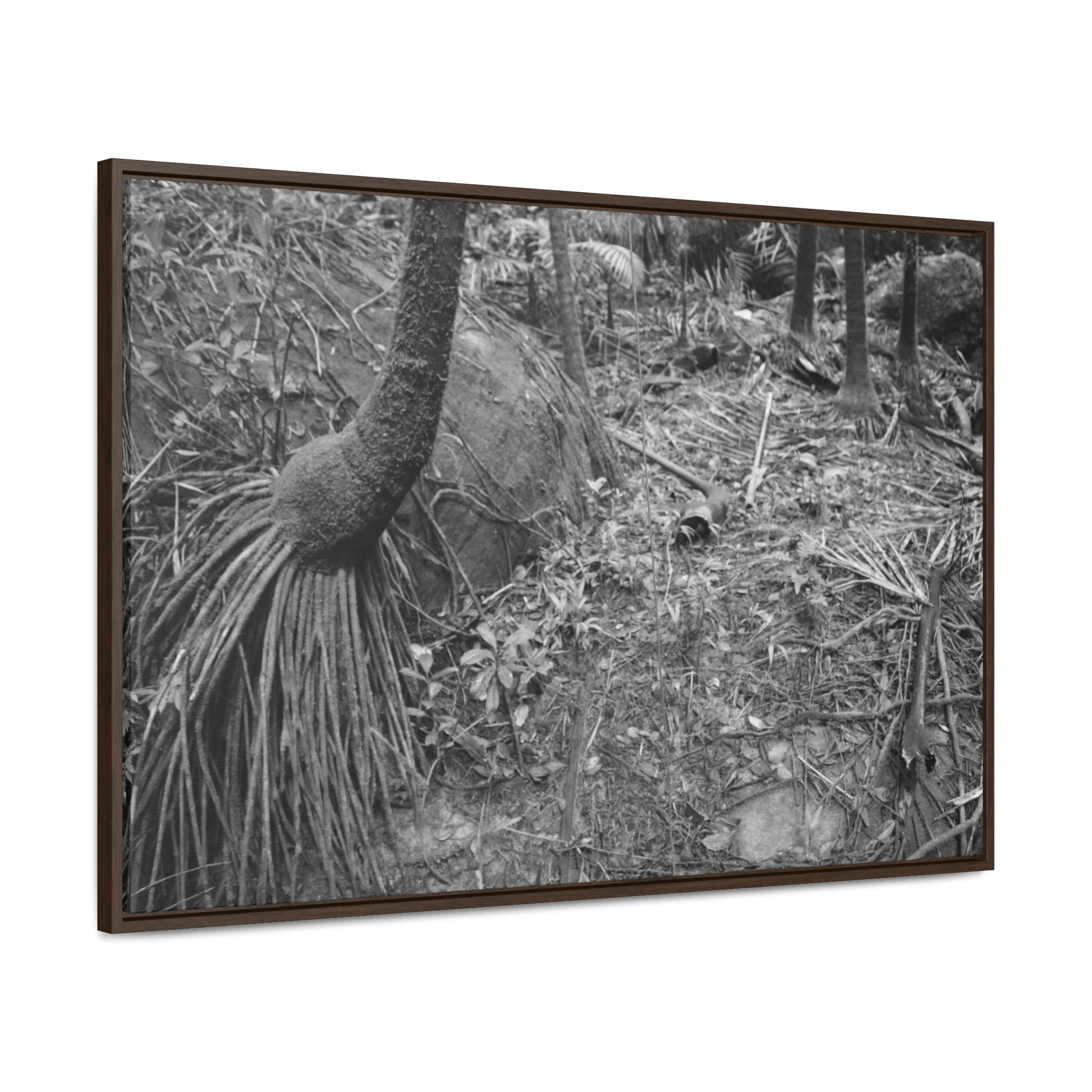 Horizontal Framed Premium Gallery Wrap Canvas - Holy Spirit River explorations - El Yunque rainforest PR - Green Forest Home