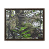 Horizontal Framed Premium Gallery Wrap Canvas - Holy Spirit River explorations - El Yunque rainforest PR - Green Forest Home