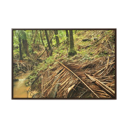 Horizontal Framed Premium Gallery Wrap Canvas - Holy Spirit River explorations - El Yunque rainforest PR - Green Forest Home