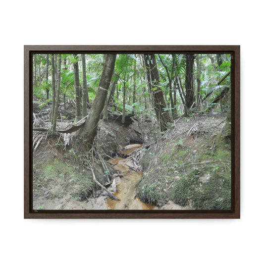 Horizontal Framed Premium Gallery Wrap Canvas - Holy Spirit River explorations - El Yunque rainforest PR - Green Forest Home