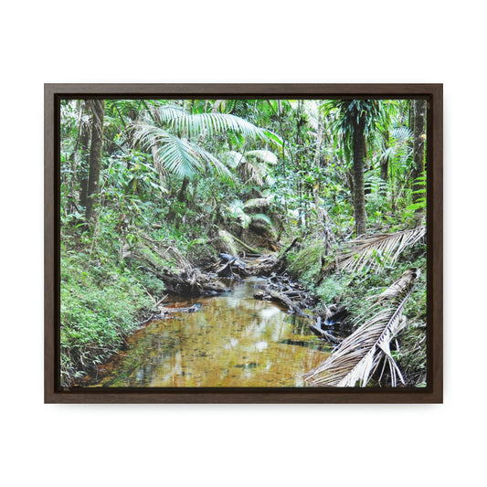 Horizontal Framed Premium Gallery Wrap Canvas - Holy Spirit River explorations - El Yunque rainforest PR - Green Forest Home
