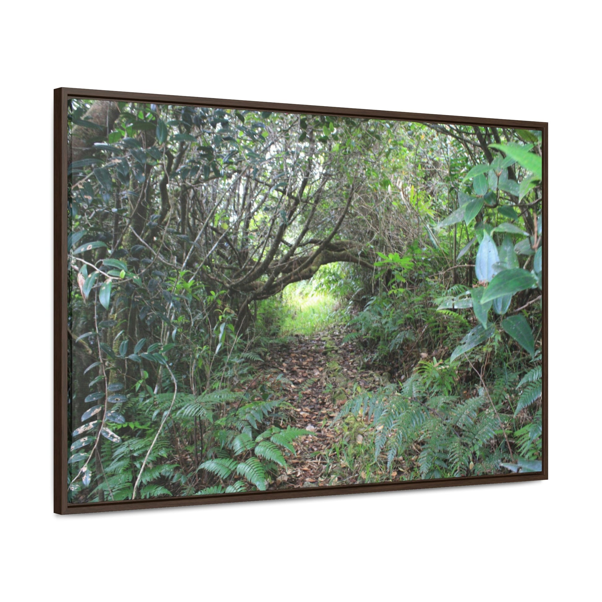 Horizontal Framed Premium Gallery Wrap Canvas - Holy Spirit River explorations - El Yunque rainforest PR - Green Forest Home