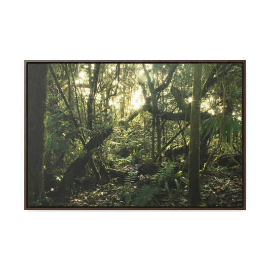 Horizontal Framed Premium Gallery Wrap Canvas - Holy Spirit River explorations - El Yunque rainforest PR - Green Forest Home