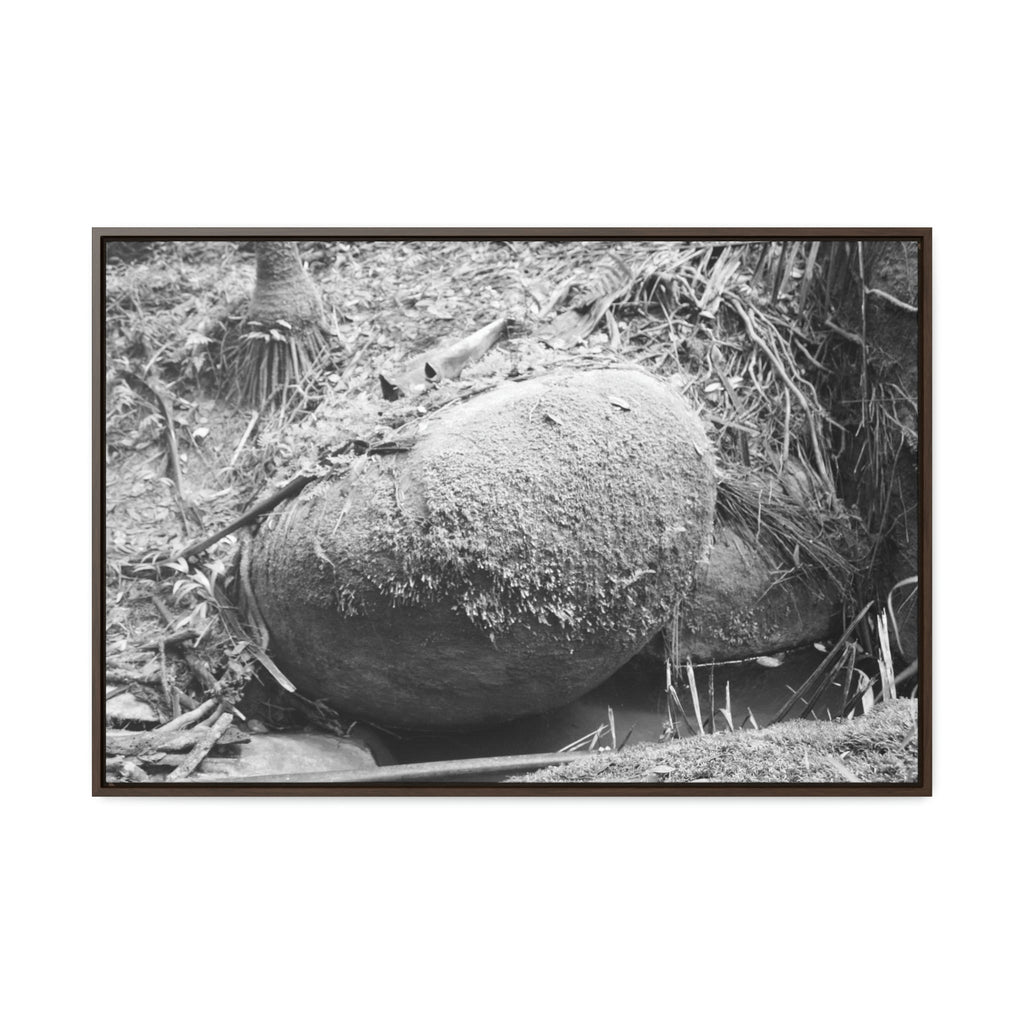 Horizontal Framed Premium Gallery Wrap Canvas - Holy Spirit River explorations - El Yunque rainforest PR - Green Forest Home