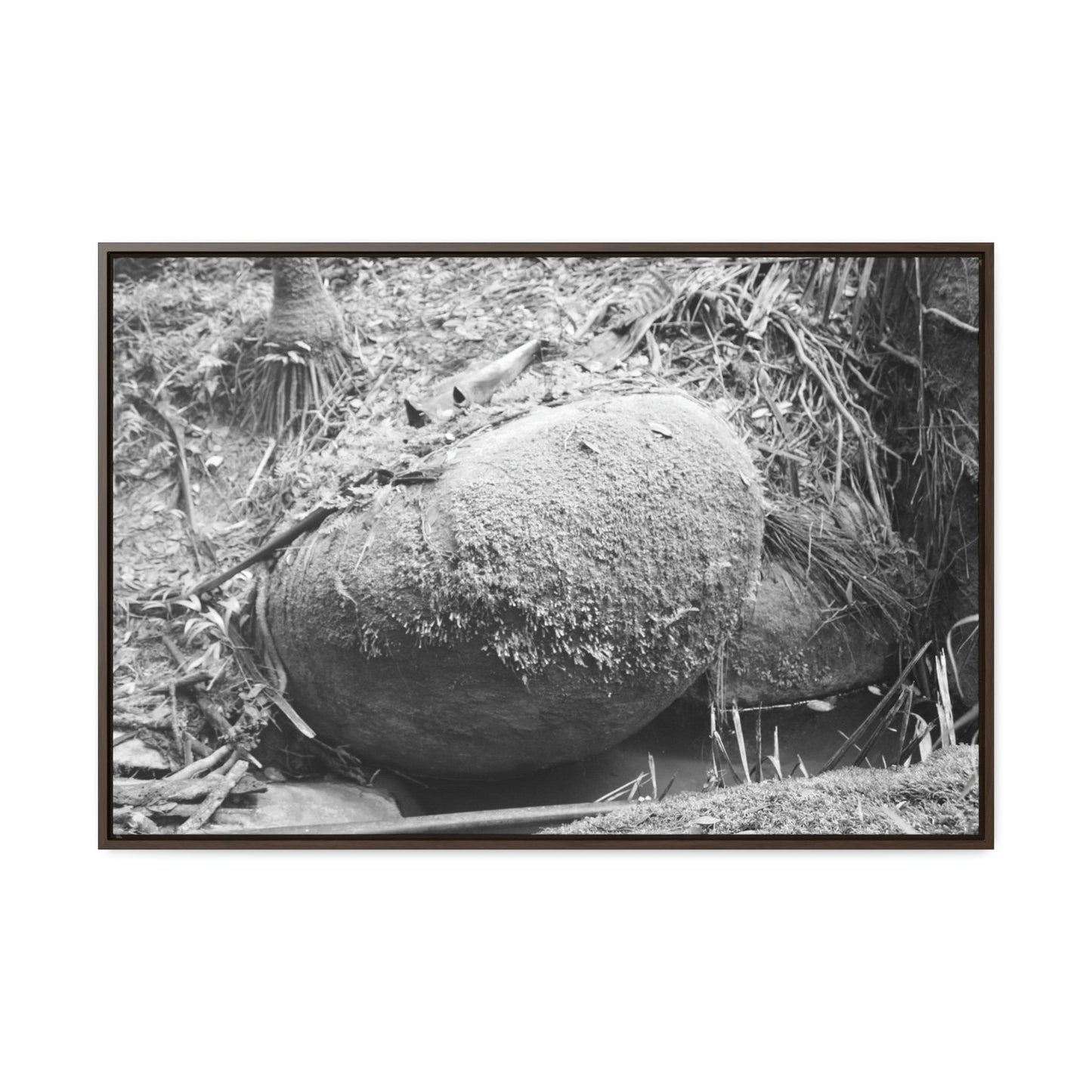 Horizontal Framed Premium Gallery Wrap Canvas - Holy Spirit River explorations - El Yunque rainforest PR - Green Forest Home