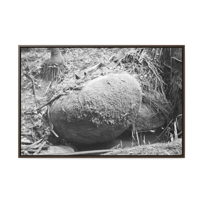 Horizontal Framed Premium Gallery Wrap Canvas - Holy Spirit River explorations - El Yunque rainforest PR - Green Forest Home