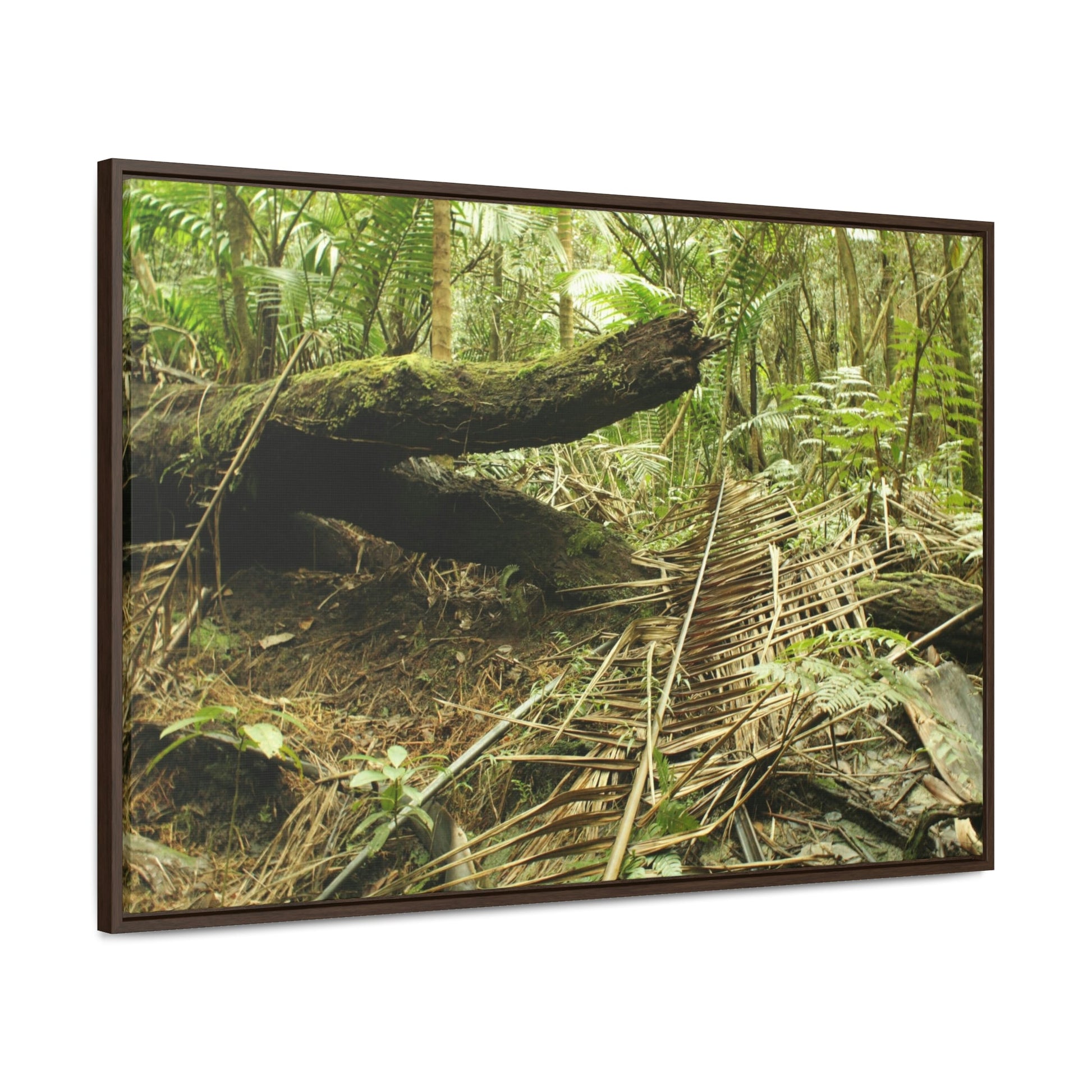 Horizontal Framed Premium Gallery Wrap Canvas - Holy Spirit River explorations - El Yunque rainforest PR - Green Forest Home