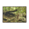 Horizontal Framed Premium Gallery Wrap Canvas - Holy Spirit River explorations - El Yunque rainforest PR - Green Forest Home