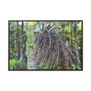Horizontal Framed Premium Gallery Wrap Canvas - Holy Spirit River explorations - El Yunque rainforest PR - Green Forest Home