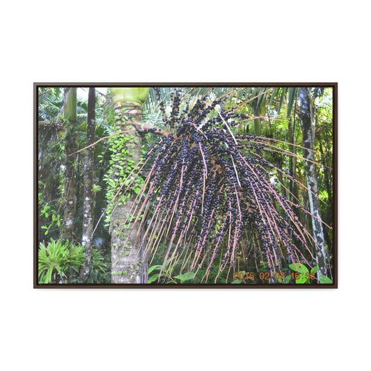 Horizontal Framed Premium Gallery Wrap Canvas - Holy Spirit River explorations - El Yunque rainforest PR - Green Forest Home