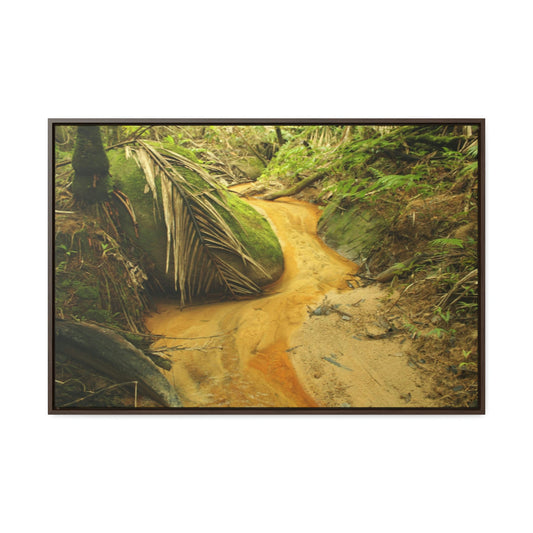 Horizontal Framed Premium Gallery Wrap Canvas - Holy Spirit River explorations - El Yunque rainforest PR - Green Forest Home