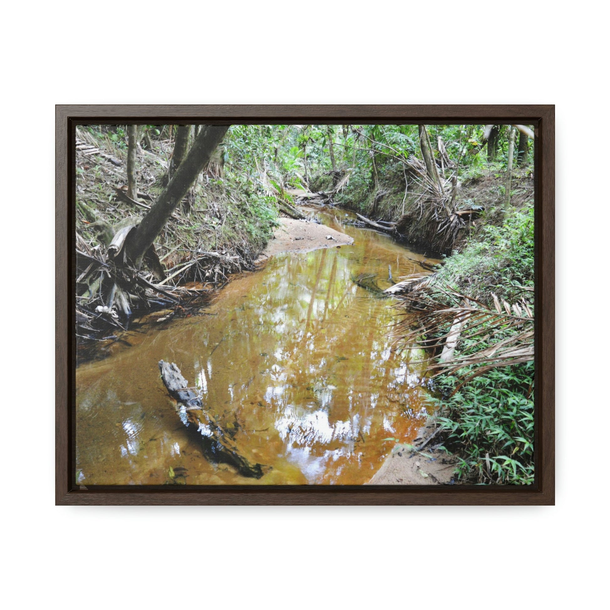 Horizontal Framed Premium Gallery Wrap Canvas - Holy Spirit River explorations - El Yunque rainforest PR - Green Forest Home