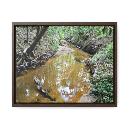 Horizontal Framed Premium Gallery Wrap Canvas - Holy Spirit River explorations - El Yunque rainforest PR - Green Forest Home