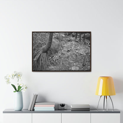 Horizontal Framed Premium Gallery Wrap Canvas - Holy Spirit River explorations - El Yunque rainforest PR - Green Forest Home