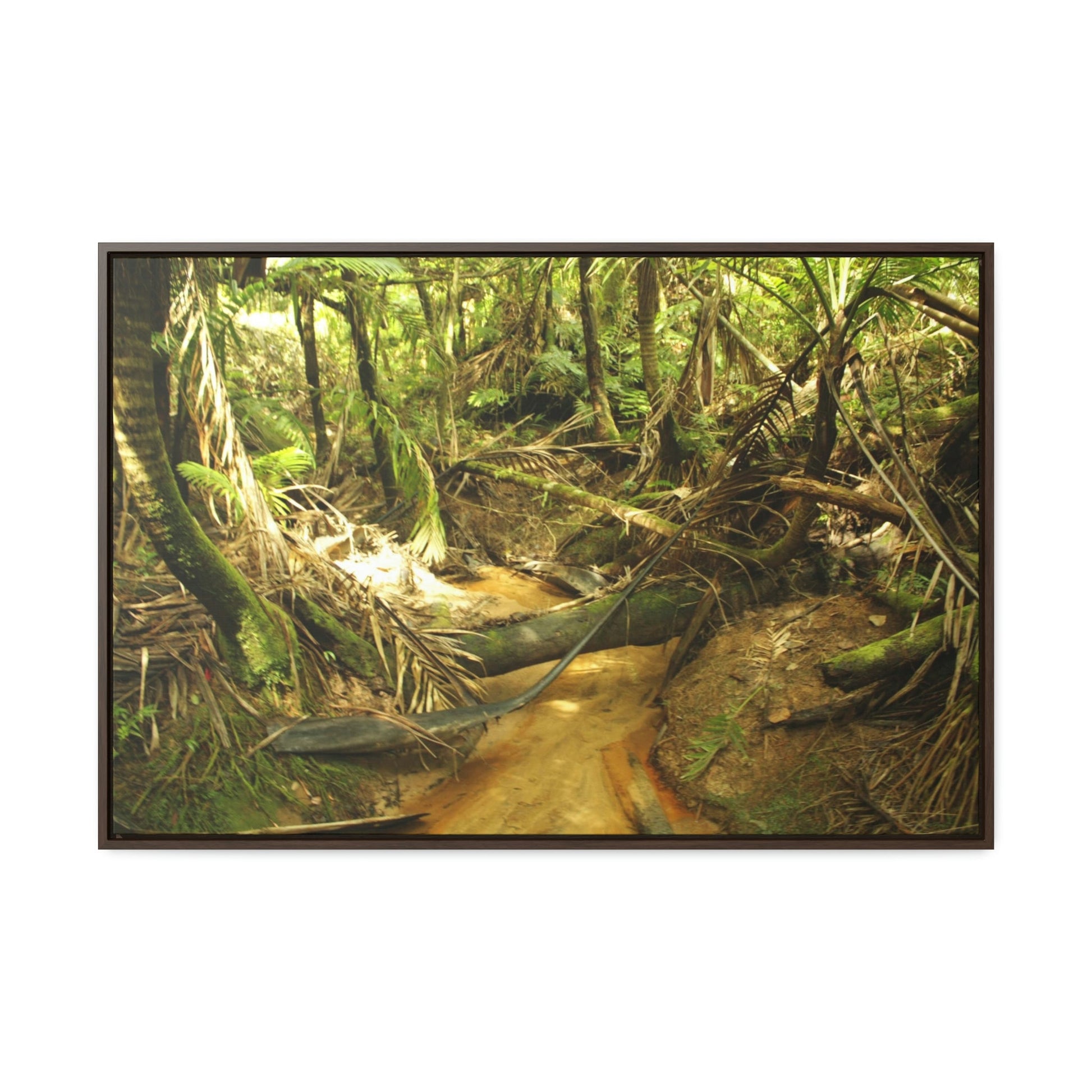 Horizontal Framed Premium Gallery Wrap Canvas - Holy Spirit River explorations - El Yunque rainforest PR - Green Forest Home