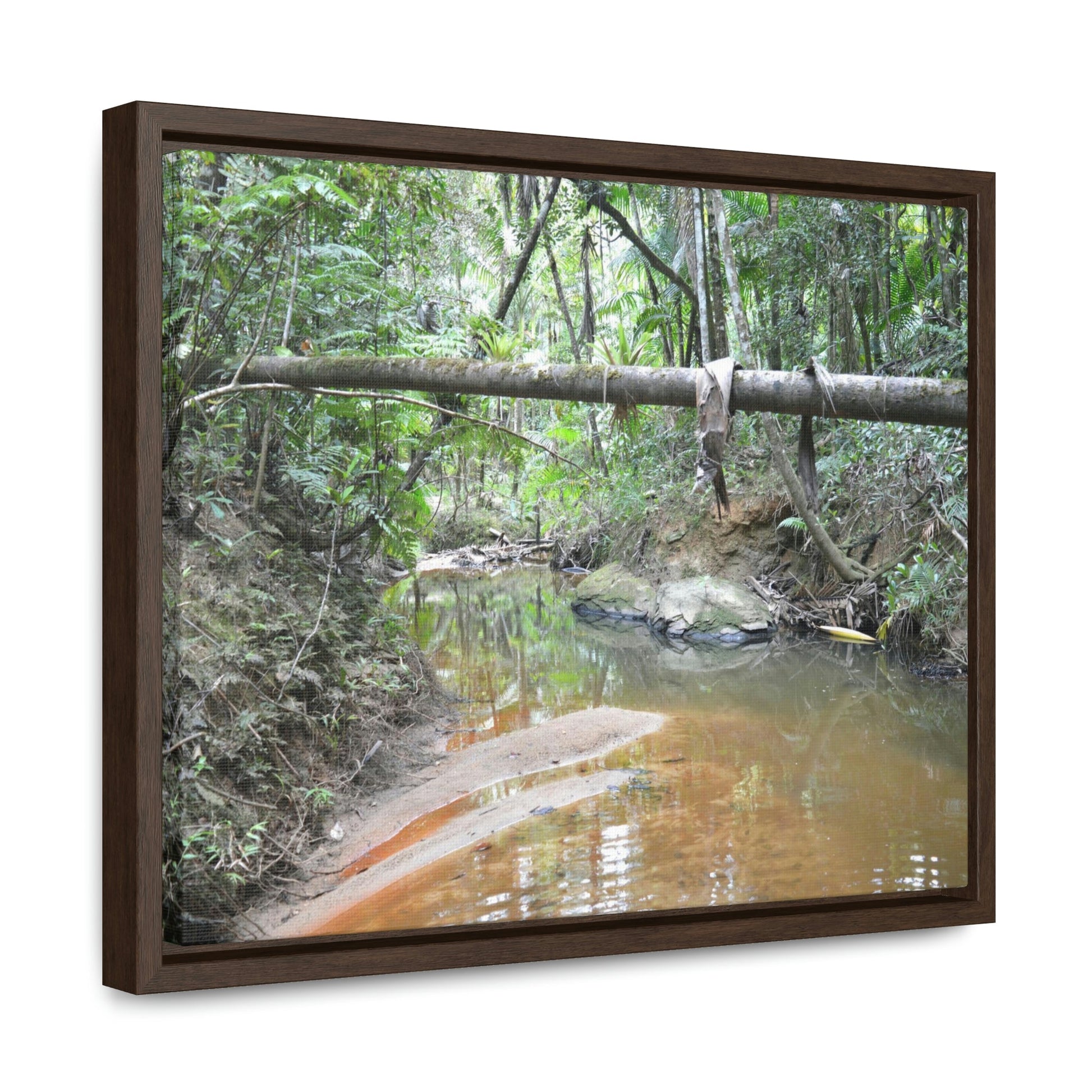 Horizontal Framed Premium Gallery Wrap Canvas - Holy Spirit River explorations - El Yunque rainforest PR - Green Forest Home