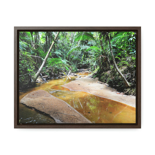 Horizontal Framed Premium Gallery Wrap Canvas - Holy Spirit River explorations - El Yunque rainforest PR - Green Forest Home