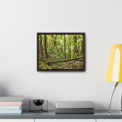 Horizontal Framed Premium Gallery Wrap Canvas - Holy Spirit River explorations - El Yunque rainforest PR - Green Forest Home