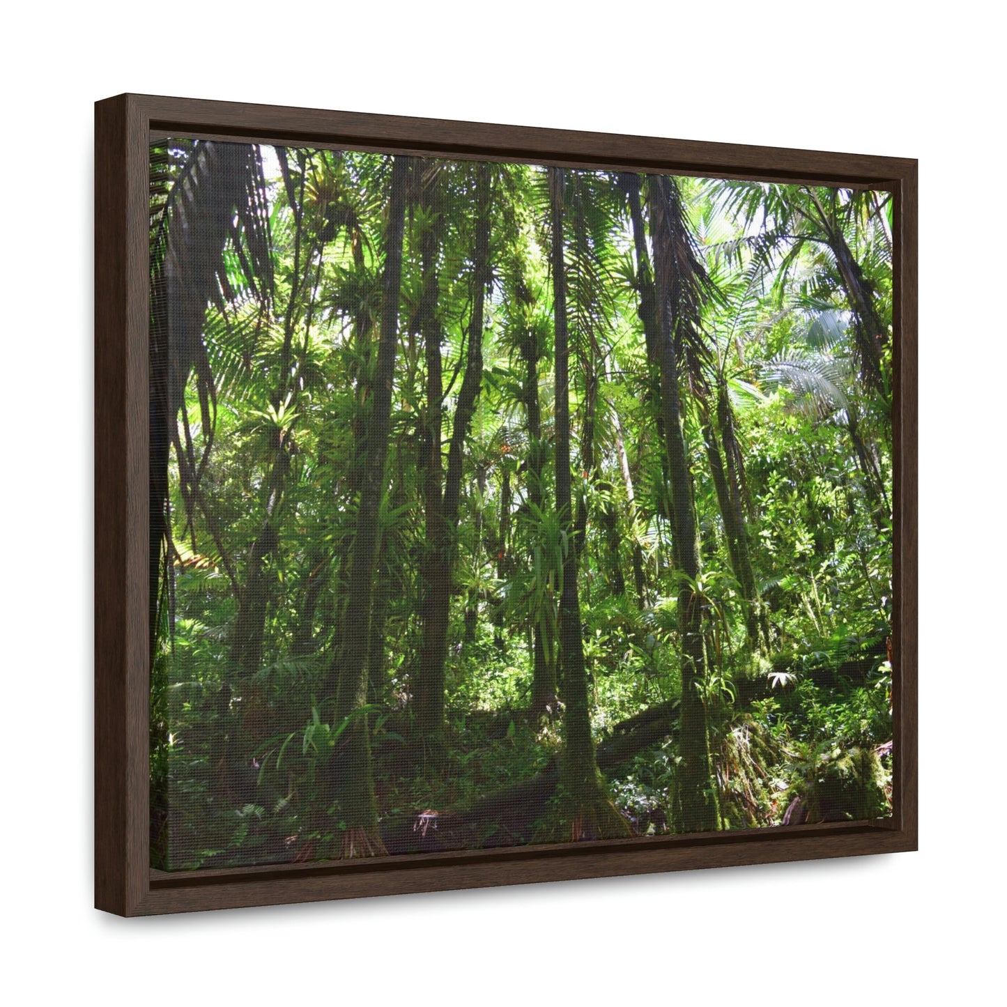 Horizontal Framed Premium Gallery Wrap Canvas - Holy Spirit River explorations - El Yunque rainforest PR - Green Forest Home