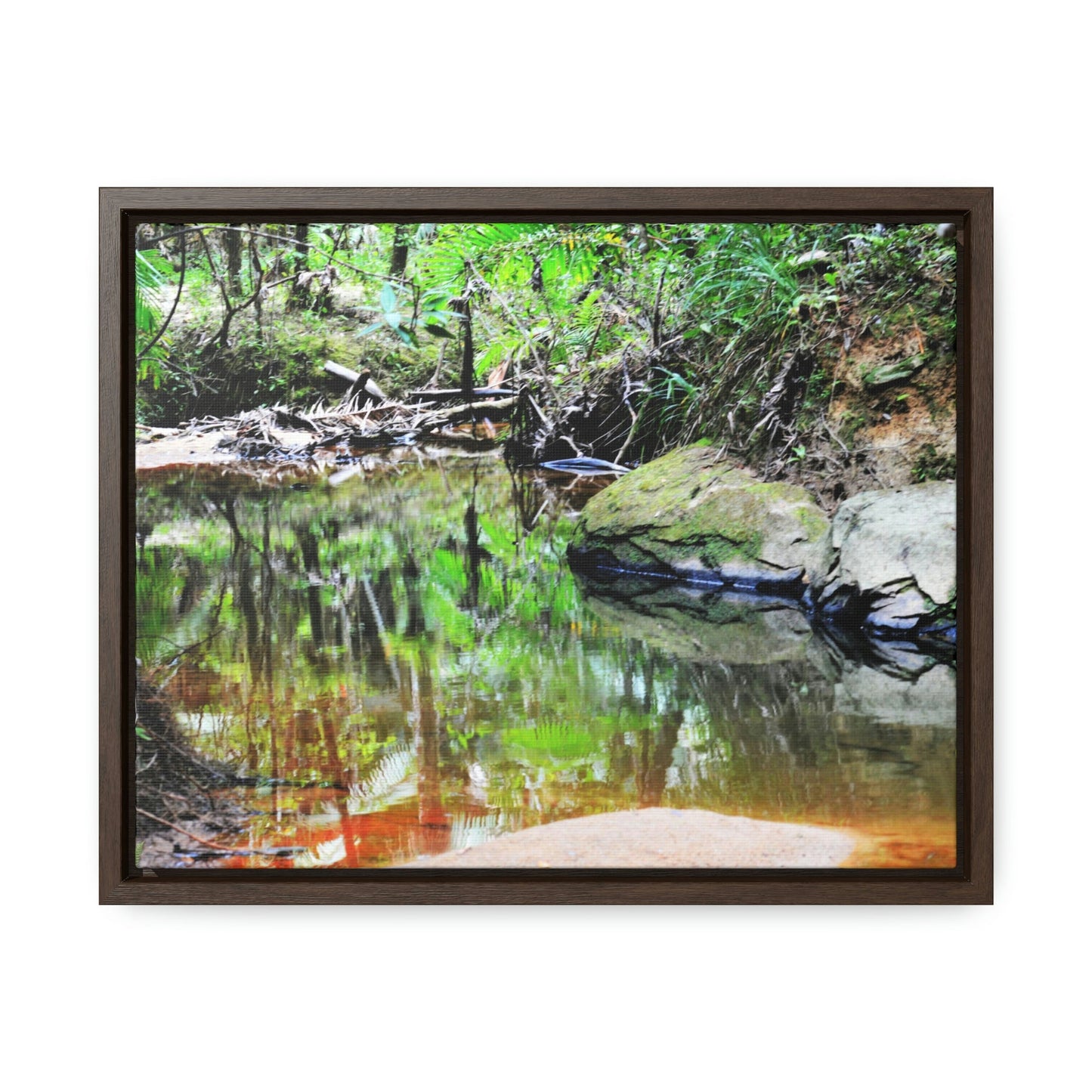 Horizontal Framed Premium Gallery Wrap Canvas - Holy Spirit River explorations - El Yunque rainforest PR - Green Forest Home