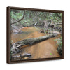 Horizontal Framed Premium Gallery Wrap Canvas - Holy Spirit River explorations - El Yunque rainforest PR - Green Forest Home
