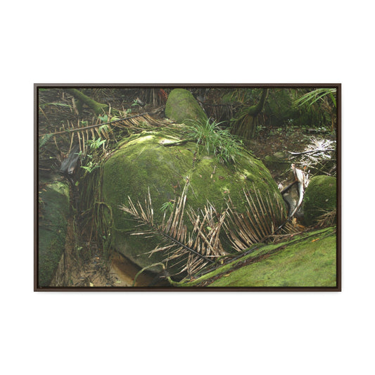 Horizontal Framed Premium Gallery Wrap Canvas - Holy Spirit River explorations - El Yunque rainforest PR - Green Forest Home