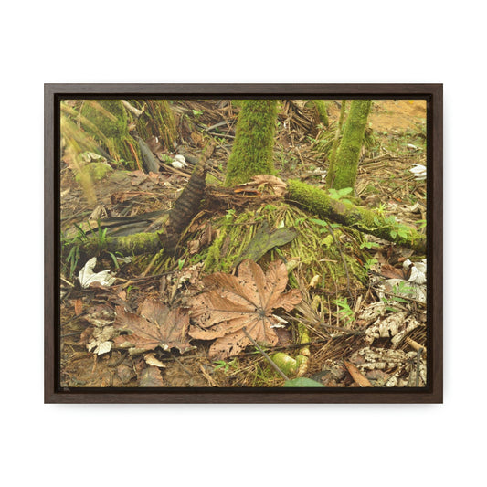 Horizontal Framed Premium Gallery Wrap Canvas - Holy Spirit River explorations - El Yunque rainforest PR - Green Forest Home