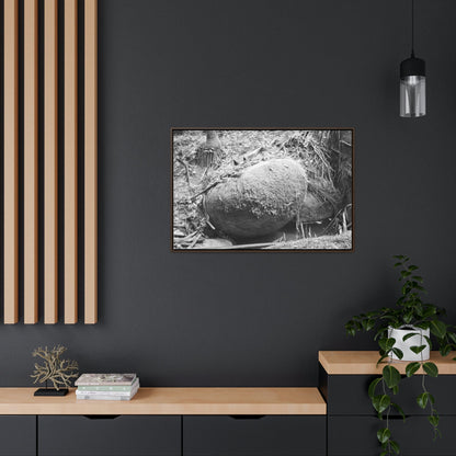 Horizontal Framed Premium Gallery Wrap Canvas - Holy Spirit River explorations - El Yunque rainforest PR - Green Forest Home