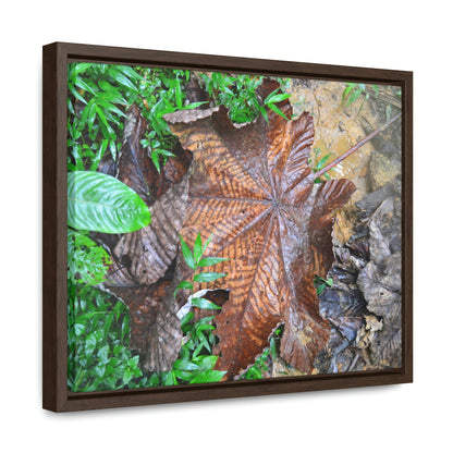 Horizontal Framed Premium Gallery Wrap Canvas - Holy Spirit River explorations - El Yunque rainforest PR - Green Forest Home