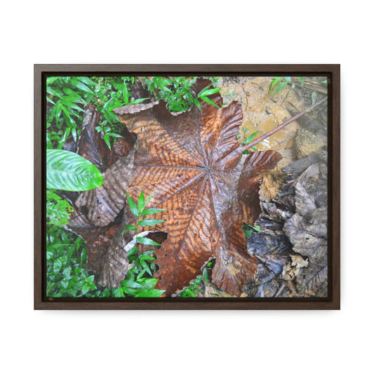 Horizontal Framed Premium Gallery Wrap Canvas - Holy Spirit River explorations - El Yunque rainforest PR - Green Forest Home