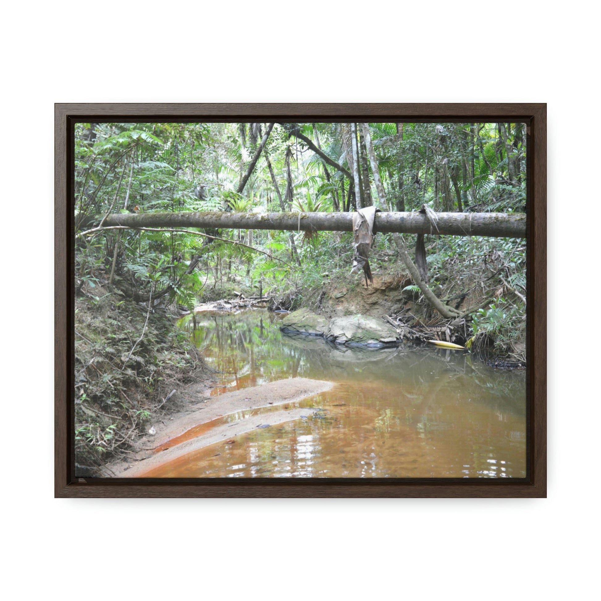 Horizontal Framed Premium Gallery Wrap Canvas - Holy Spirit River explorations - El Yunque rainforest PR - Green Forest Home