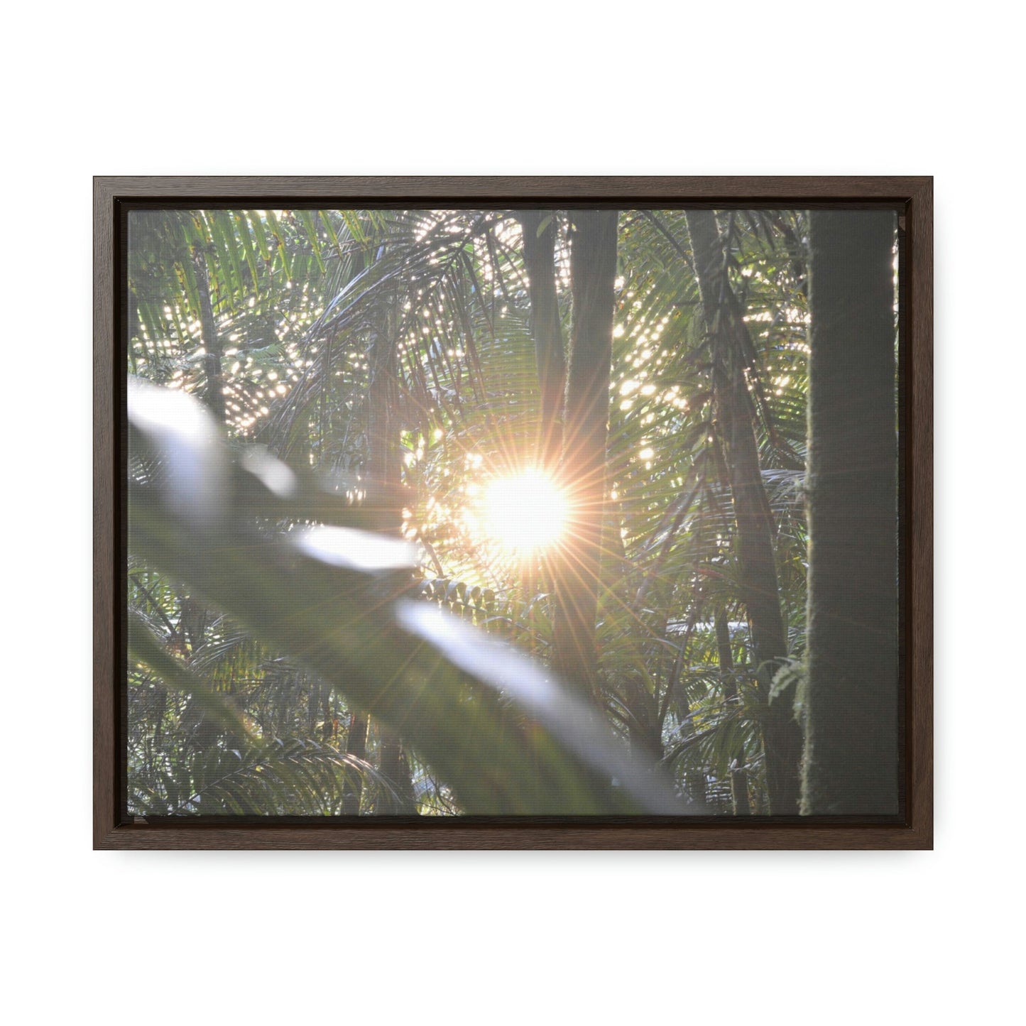 Horizontal Framed Premium Gallery Wrap Canvas - Holy Spirit River explorations - El Yunque rainforest PR - Green Forest Home