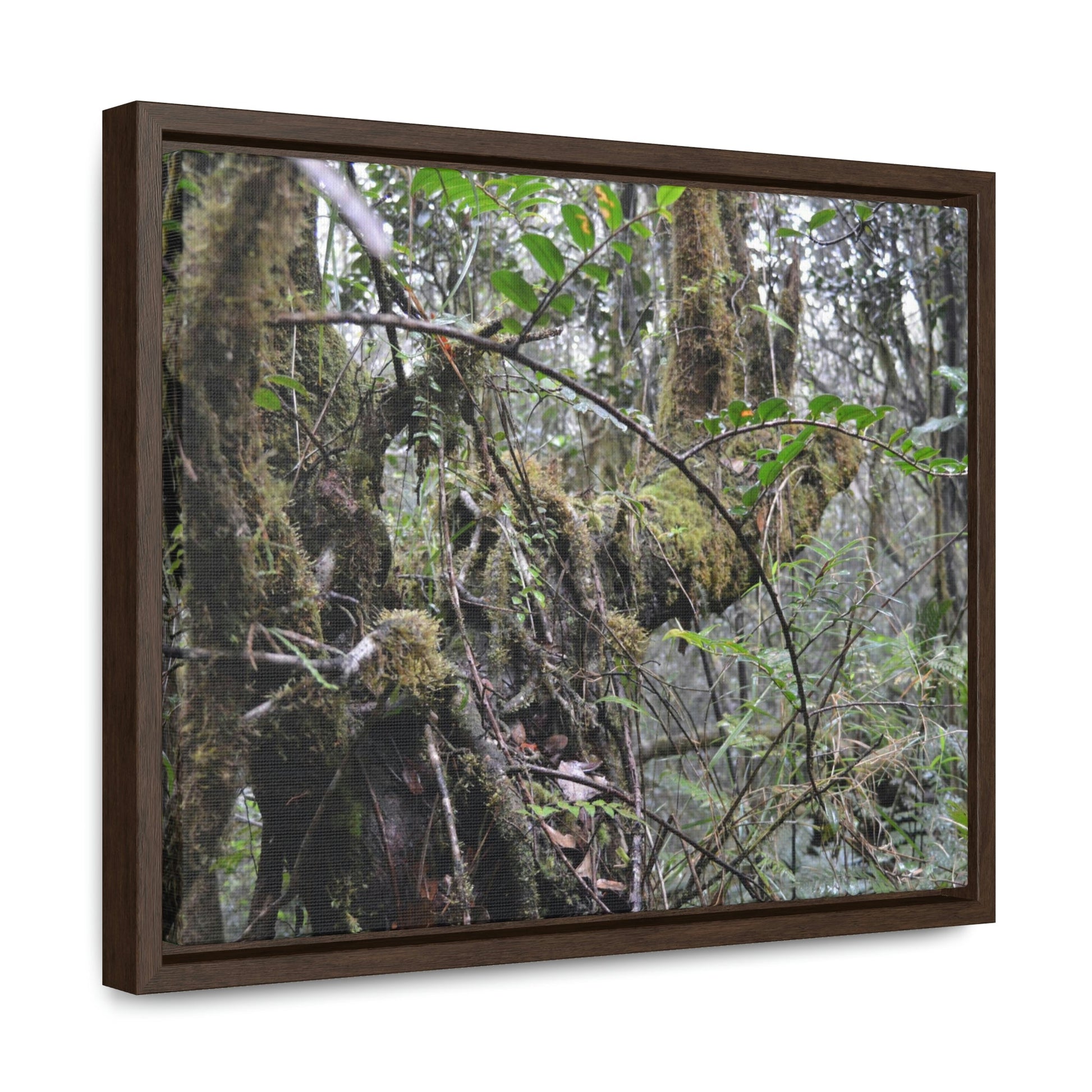 Horizontal Framed Premium Gallery Wrap Canvas - Holy Spirit River explorations - El Yunque rainforest PR - Green Forest Home