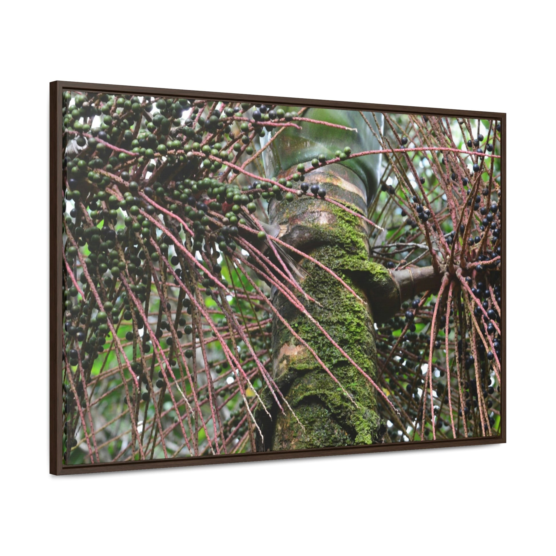 Horizontal Framed Premium Gallery Wrap Canvas - Holy Spirit River explorations - El Yunque rainforest PR - Green Forest Home