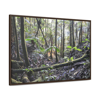 Horizontal Framed Premium Gallery Wrap Canvas - Holy Spirit River explorations - El Yunque rainforest PR - Green Forest Home