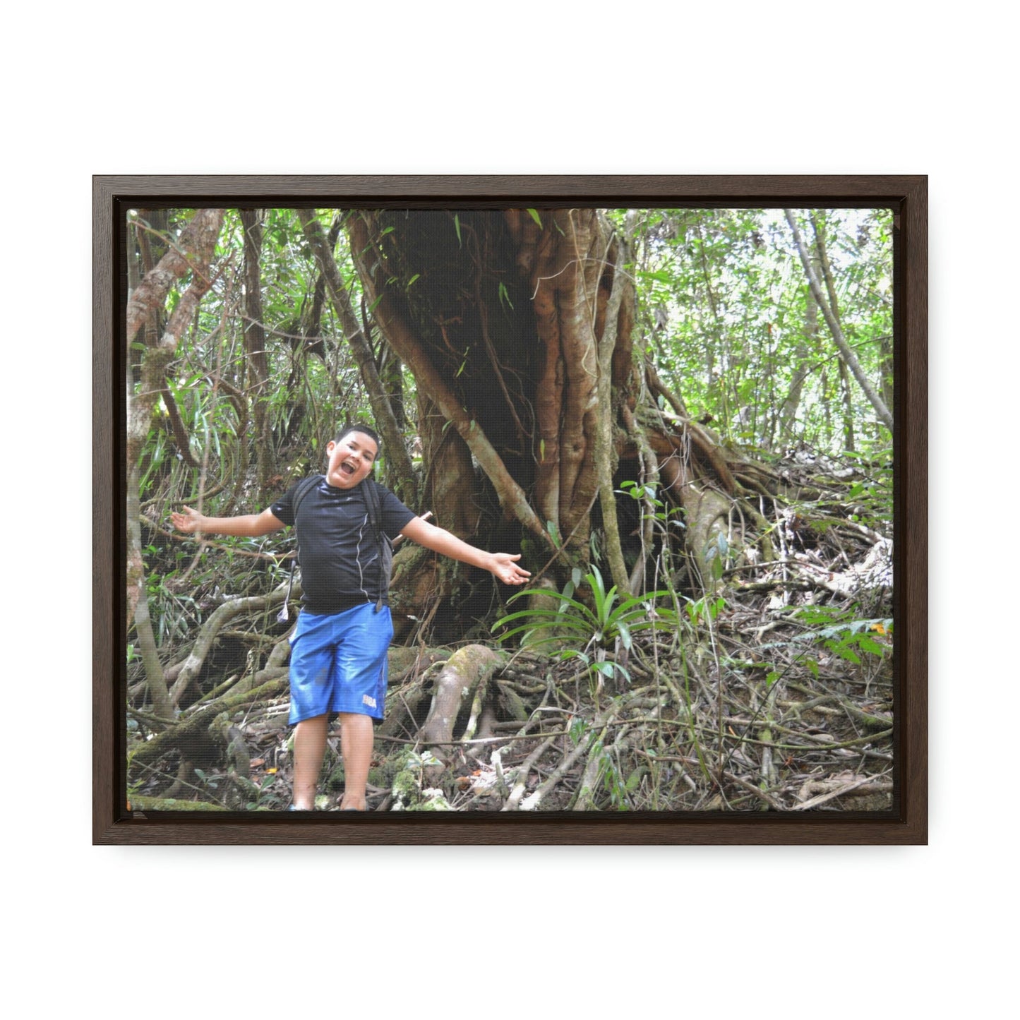 Horizontal Framed Premium Gallery Wrap Canvas - Holy Spirit River explorations - El Yunque rainforest PR - Green Forest Home