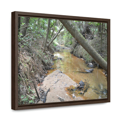 Horizontal Framed Premium Gallery Wrap Canvas - Holy Spirit River explorations - El Yunque rainforest PR - Green Forest Home
