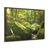 Horizontal Framed Premium Gallery Wrap Canvas - Holy Spirit River explorations - El Yunque rainforest PR - Green Forest Home