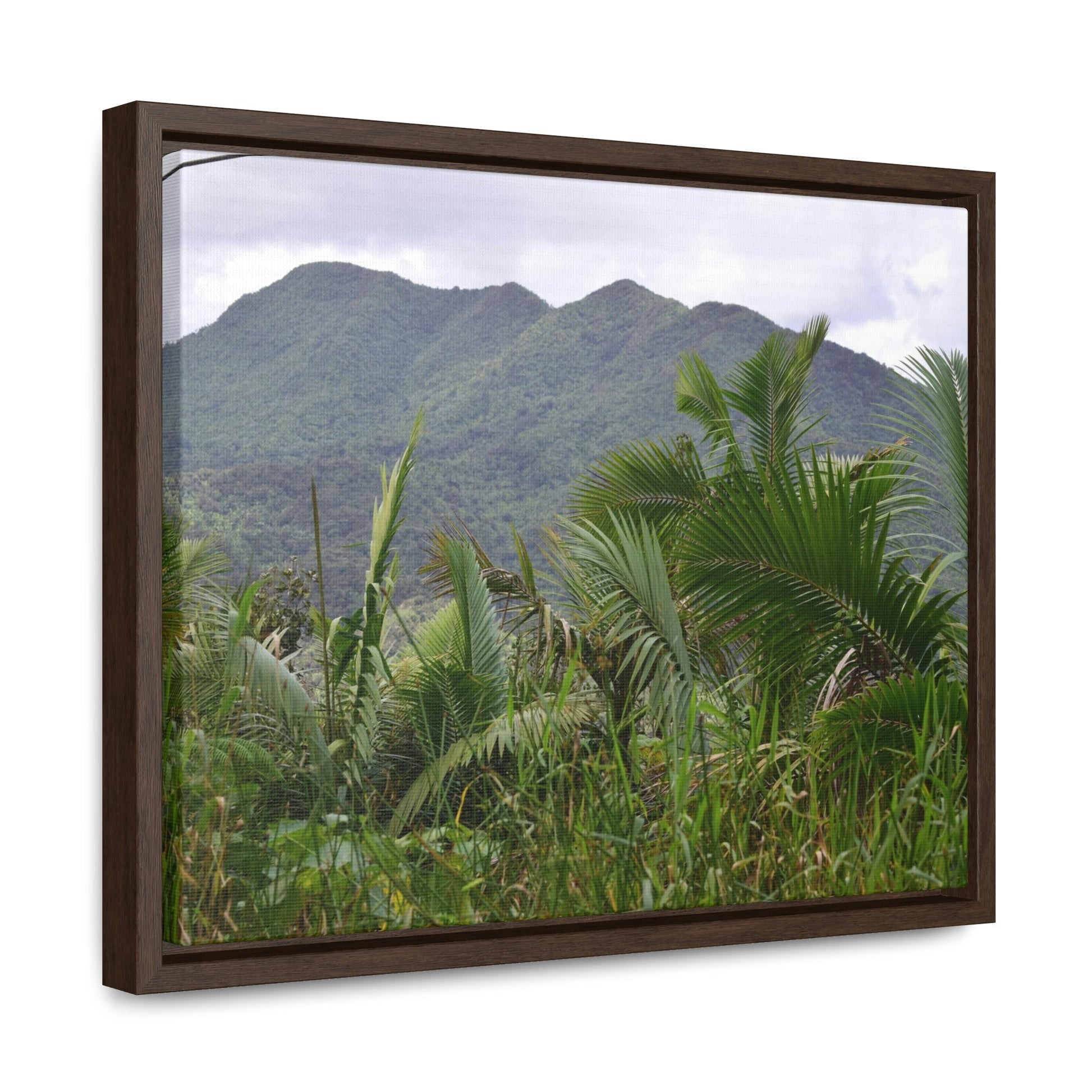Horizontal Framed Premium Gallery Wrap Canvas - Holy Spirit River explorations - El Yunque rainforest PR - Green Forest Home