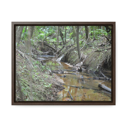Horizontal Framed Premium Gallery Wrap Canvas - Holy Spirit River explorations - El Yunque rainforest PR - Green Forest Home