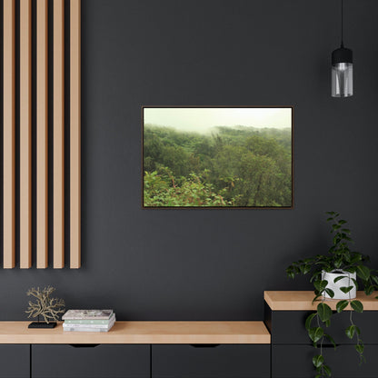 Horizontal Framed Premium Gallery Wrap Canvas - Holy Spirit River explorations - El Yunque rainforest PR - Green Forest Home