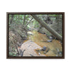 Horizontal Framed Premium Gallery Wrap Canvas - Holy Spirit River explorations - El Yunque rainforest PR - Green Forest Home