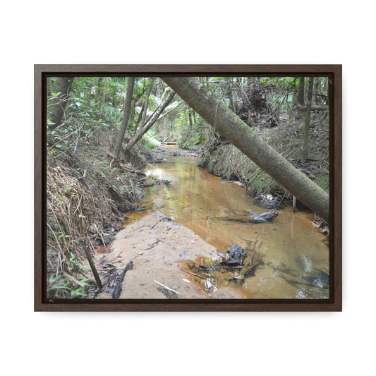 Horizontal Framed Premium Gallery Wrap Canvas - Holy Spirit River explorations - El Yunque rainforest PR - Green Forest Home