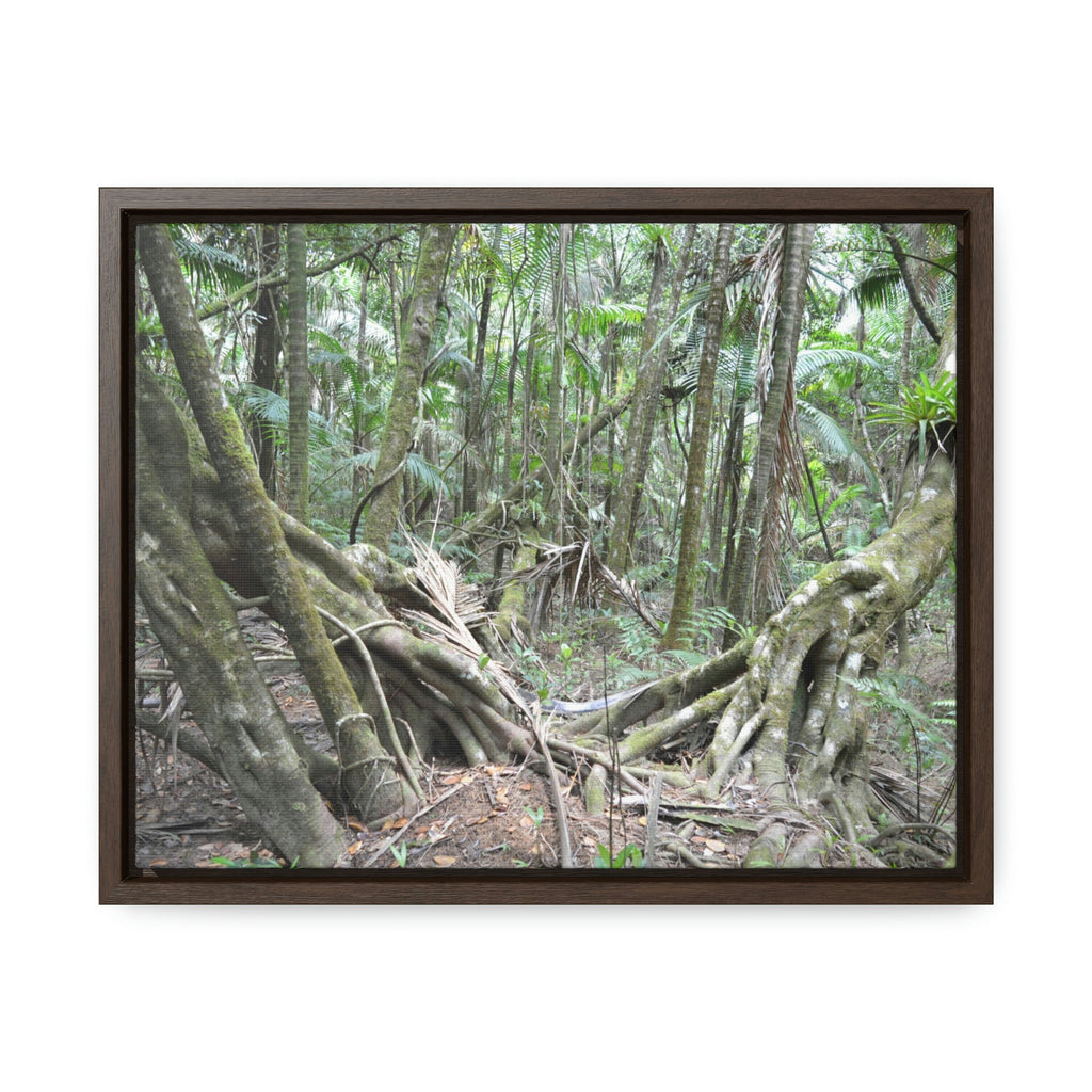 Horizontal Framed Premium Gallery Wrap Canvas - Holy Spirit River explorations - El Yunque rainforest PR - Green Forest Home