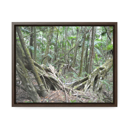 Horizontal Framed Premium Gallery Wrap Canvas - Holy Spirit River explorations - El Yunque rainforest PR - Green Forest Home