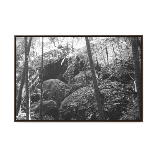 Horizontal Framed Premium Gallery Wrap Canvas - Holy Spirit River explorations - El Yunque rainforest PR - Green Forest Home
