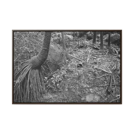 Horizontal Framed Premium Gallery Wrap Canvas - Holy Spirit River explorations - El Yunque rainforest PR - Green Forest Home