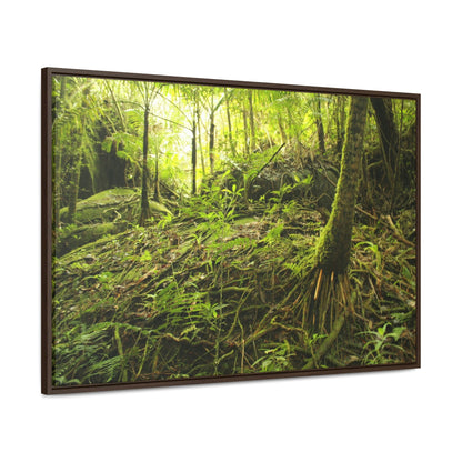 Horizontal Framed Premium Gallery Wrap Canvas - Holy Spirit River explorations - El Yunque rainforest PR - Green Forest Home