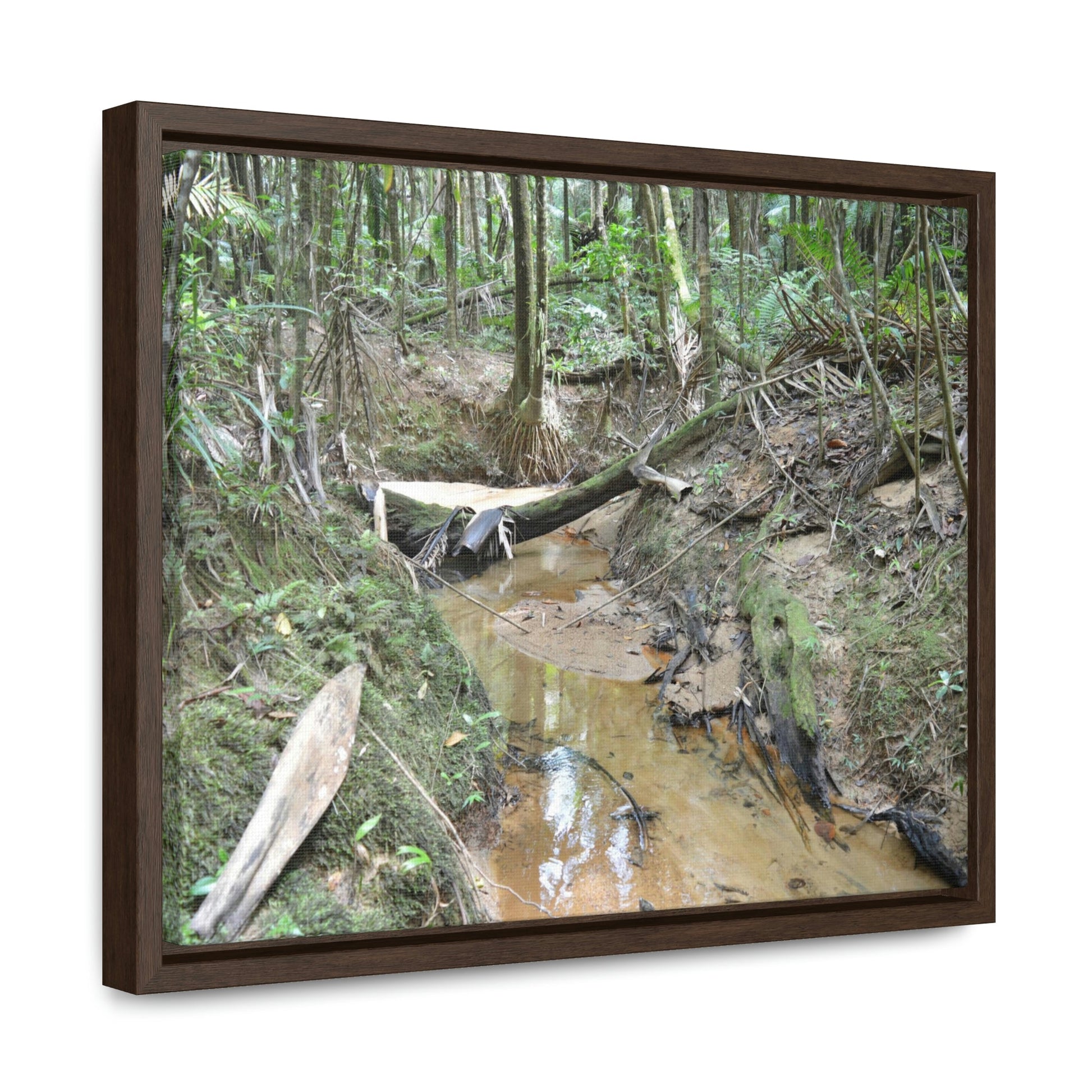 Horizontal Framed Premium Gallery Wrap Canvas - Holy Spirit River explorations - El Yunque rainforest PR - Green Forest Home