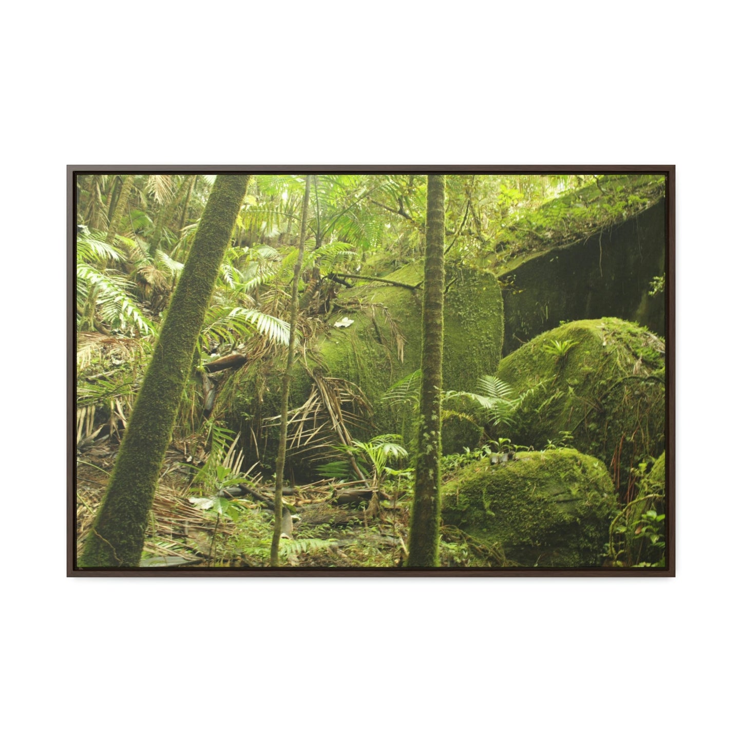 Horizontal Framed Premium Gallery Wrap Canvas - Holy Spirit River explorations - El Yunque rainforest PR - Green Forest Home